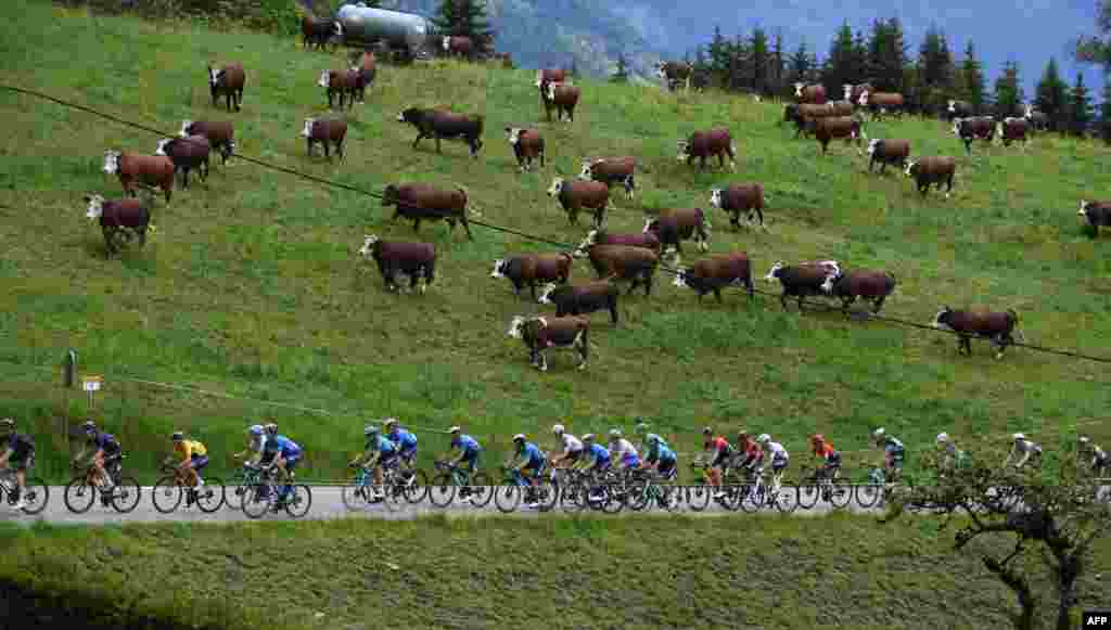 The pack rides during the eighth stage of the 73rd edition of the Criterium du Dauphine cycling race, a 147km between La Lechere-Les-Bains and Les Gets, France.