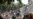 Strong Quake Near Mexico City Kills Almost 150
