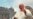 Travels With Pope John Paul: A Reporter Remembers