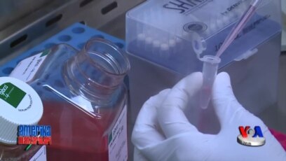 Abort xizmati ko'rsatadigan tashkilot bosim ostida