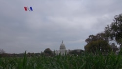 Landmark: Taman Nasional The Mall, Washington DC