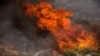 وقوع آتش‌سوزی جنگلی گسترده در ایالت کالیفرنیا منجر به تخلیه هزاران نفر از ساکنان منطقه شده است