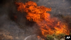 Firefighters work against the Apple Fire near Banning, Calif., Sunday, Aug. 2, 2020. (AP Photo/Ringo H.W. Chiu)