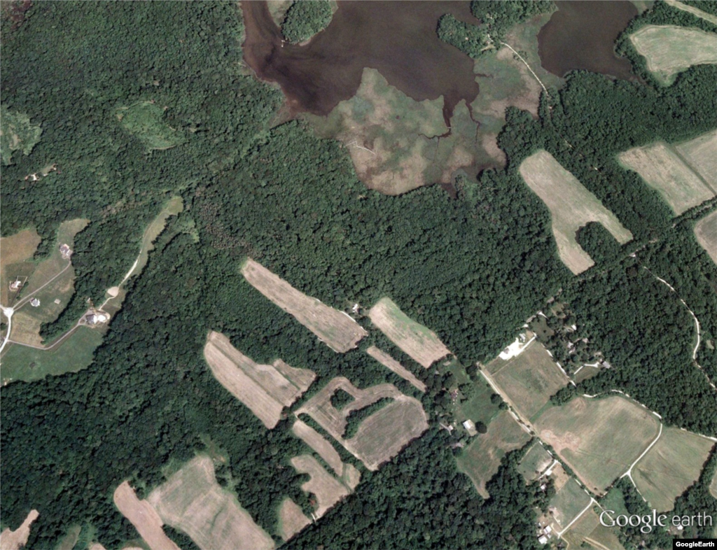 When the experimental forest is fully planted it will add some 35,000 trees to the landscape divided among 125 study plots. 