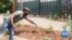 South African Urban Farm Tackles Pandemic-Linked Hunger