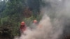 Indonesian Police Arrest 185 Over Forest Fires