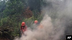 Firefighters try to extinguish brush fires in Pekanbaru, Riau province, Indonesia, Sept. 14, 2019. Nearly every year, Indonesian forest fires spread health-damaging haze across the country and into neighboring Malaysia and Singapore. 