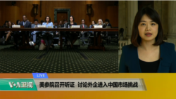 VOA连线(李逸华)：美参院召开听证，讨论外企进入中国市场挑战