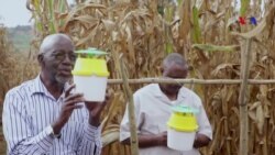 Uganda cria APP para agricultores