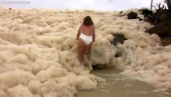 Dog Rescued from Sea Foam in Australia