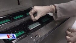 Phương pháp xét nghiệm nhanh virus Zika