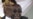 Zimbabwe Parties' Wrangle Over Draft Constitution Escalates