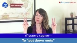 «Английский за минуту»: Put Down Roots – пускать корни
