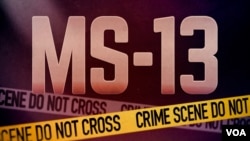 د امریکا د باسټن په ایالت کې د مهاجرت او ګمرکونو د تطبیق ادارې د السلواډور (ام اس ۱۳) د ډلې مشر او مطلوب قاتل له متحدوایالتونو څخه وشړلو