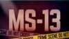 Pandilleros de la MS-13 enfrentan acusación por extorsión en Maryland