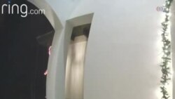 В дверь позвонил медведь