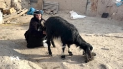 گەشتێک بەناو ژیانی لادێدا