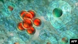 Dy ilaçe eksperimentale ofrojnë zgjatjen e jetës për pacientët me kancer