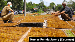 Karman (kanan), petani tembakau asal Wonosobo mengeluhkan harga yang rendah ketika bertemu Ganjar Pranowo, Senin 6 September 2021. (Foto: Courtesy/Humas Jateng)