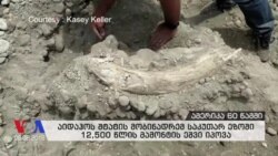 ამერიკა 60 წამში