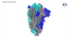 Variante de coronavirus de California es más contagiosa, afirman expertos