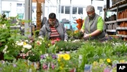 Tidak hanya bunga, banyak orang juga berkebun sayur-mayur selama pandemi.