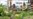 Berkebun jadi Hiburan saat Hadapi Pandemi Corona