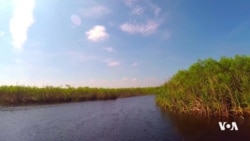 Marjory Stoneman Douglas, the mother of the Everglades