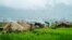 တရုတ်နယ်စပ်၊မြန်မာဘက်ခြမ်း ပန်းဆိုင်း၊ မူဆယ်ဘက်က ထွက်ပြေးလာသူတွေနေထိုင်ရာ ယာယီတဲများ။ 