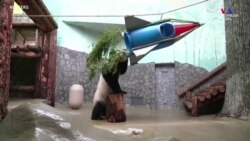 տիեզերանավ են տեղադրել նաև Մոսկվայի կենդանաբանական այգու պանդայի վանդակում: