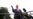 Trump Calls for Ukraine, China to Investigate Biden