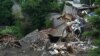 رانش مرگبار زمین در ژاپن؛ ۸۰ نفر ناپدید شده‌اند 