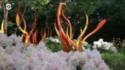 Стеклянное волшебство Дэйла Чихули