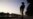 Mexico Limits Nonessential Travel on its Southern Border