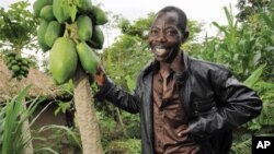 Smallholder agroforestry in Kenya is an example of sustainable intensification, according to Achieving Food Security in the Face of Climate Change report.