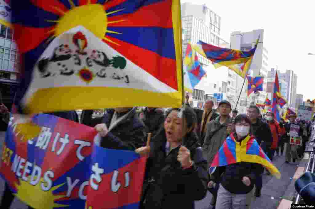 غربت کے باعث ان بچوں کو جبری مشقت پر مجبور کیا جاتا ہے۔