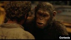 Apes movie