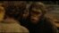 Scena iz filma "Planeta majmuna - Revolucija"