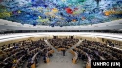 شورای حقوق بشر سازمان ملل متحد