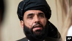 Juru bicara politik Taliban Suhail Shaheen 