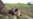 Faced with More Drought, Zimbabwe's Farmers Hang Up Their Plows