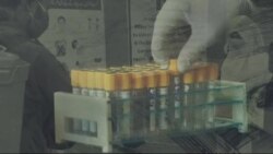 لویه پښتونخوا په ټي وي
