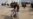 Israeli Forces Carry Out Operation Inside Khan Younis Hospital