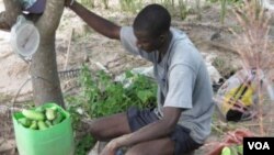 Oxfam Lanse Apèl An Favè Sektè Agrikòl La Ann Ayiti