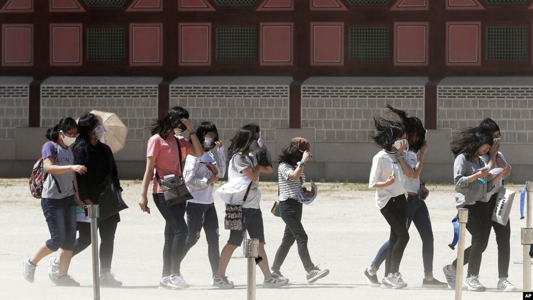 Siswa-siswa SMP Korea Selatan mengenakan masker guna menghindari kemungkinan terjangkit virus MERS saat kunjungan ke istana Gyeongbok di Seoul (3/6). 