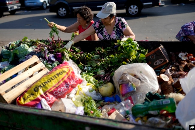 Women collect vegetables to take home after they were discarded by vendors at a market on the outskirts of Buenos Aires, Argentina, Wednesday, Jan. 10, 2024. (AP Photo/Natacha Pisarenko)