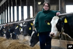 Jenni Tilton-Flood poses for a photograph in a dairy barn at Flood Brothers Farm, Wednesday, March 27, 2024, in Clinton, Maine. (AP Photo/Robert F. Bukaty)