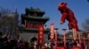 Year of the Snake underway with Lunar New Year festivities