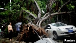 Sebuah pohon tumbang menimpa sebuah mobil setelah topan Matmo melanda Fuzhou, Fujian, China, Rabu (23/7). 