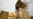 Nigeria Mulls Gas Flare Crackdown